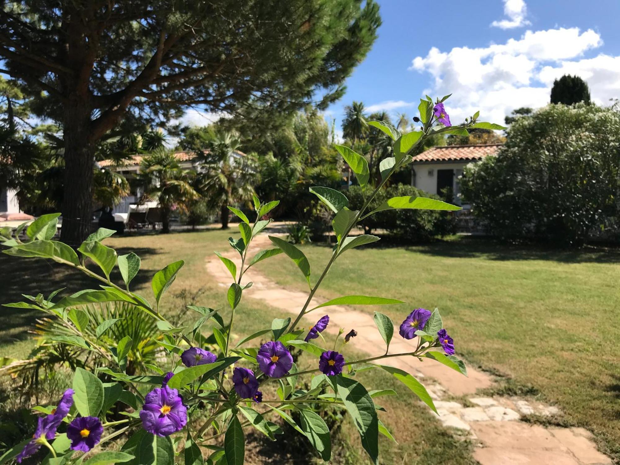 مبيت وإفطار Les Portes-en-Re Le Jardin Des Portes المظهر الخارجي الصورة