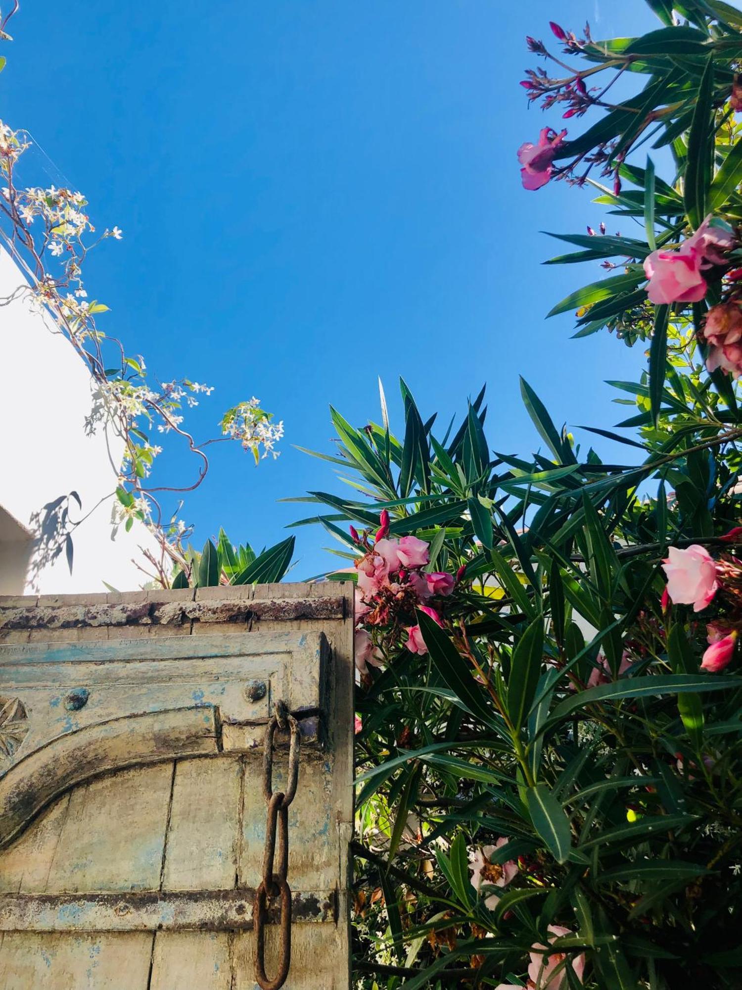 مبيت وإفطار Les Portes-en-Re Le Jardin Des Portes المظهر الخارجي الصورة